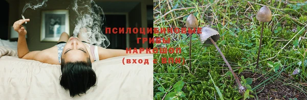 гашишное масло Лагань